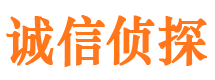 泉山市侦探